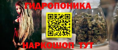 СК Моздок