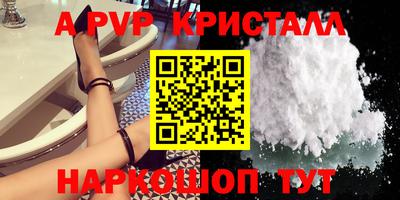 СК Моздок