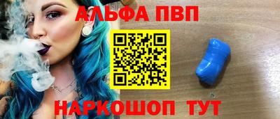 СК Моздок