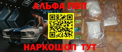 СК Моздок